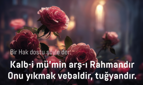 Screenshot 2026-02-01 160553